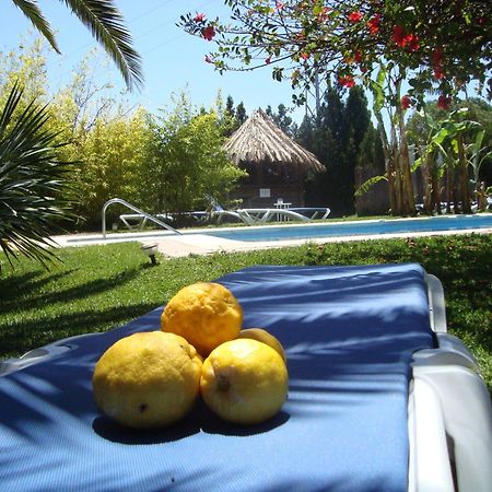 Bungalows Puravida Саора Экстерьер фото