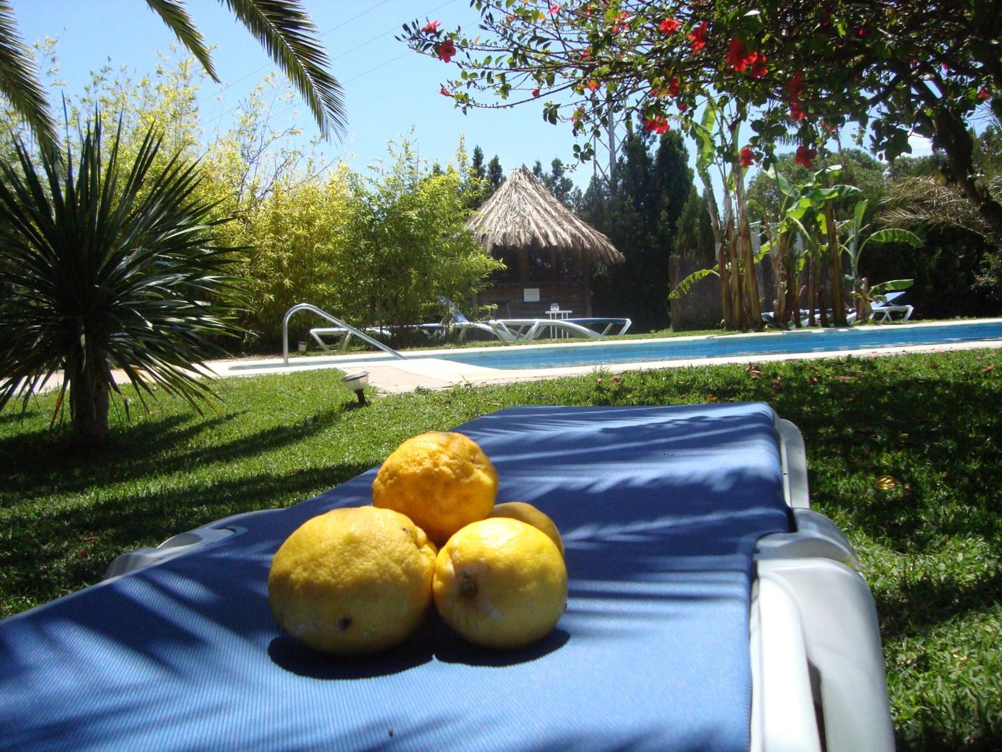 Bungalows Puravida Саора Экстерьер фото